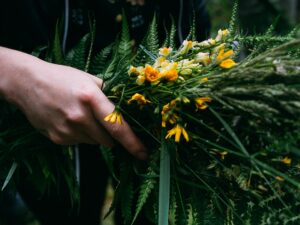 Wilczyce Leśny Krąg Kobiet PINE Edukacja w Naturze