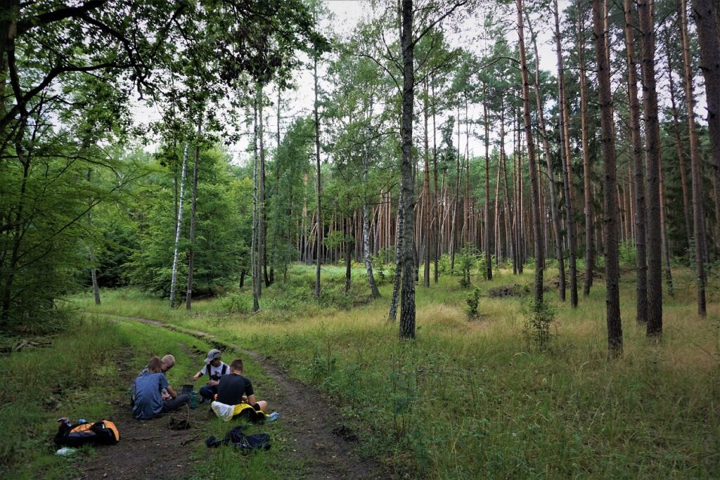 Młodzieżowy Surwiwal PINE Edukacja w Naturze